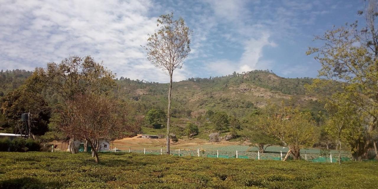 The Laughing Woods Ac Resort Kotagiri Kültér fotó